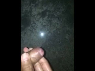 Indian Joyous Wank